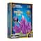 12 Pack: National Geographic™ Purple Crystal Lab